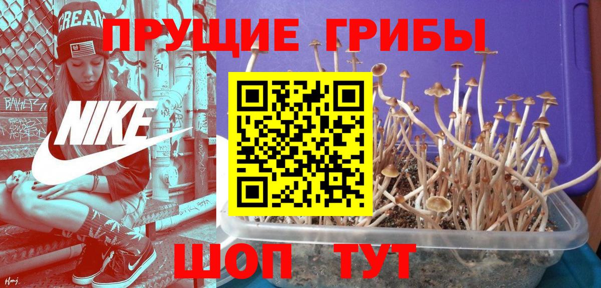 Галлюциногенные грибы прущие грибы  Вход с VPN  Краснокаменск  Псилоцибиновые грибы ЛСД 