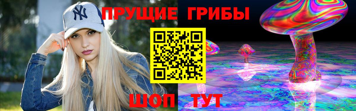 Галлюциногенные грибы Psilocybine cubensis Краснокаменск